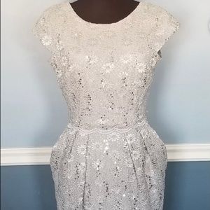 Alex Evenings Silver dress with lace and sequins